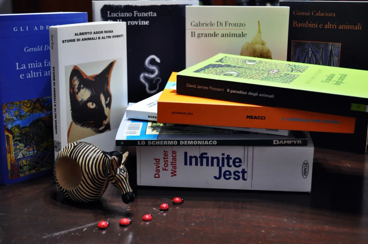 Animali altri & altri animali. Durrell, Meacci, Funetta: storia di un nome