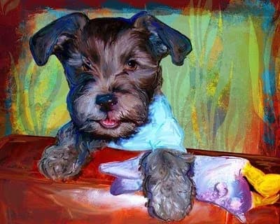«Un cane marrone scuro» di Stephen Crane