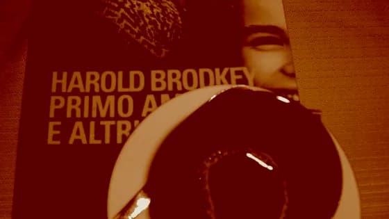 Su  «Primo amore e altri affanni» di Harold Brodkey