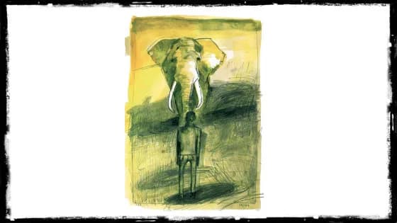 «L'elefante» di Elisa Ruotolo e Patrizia Beretta