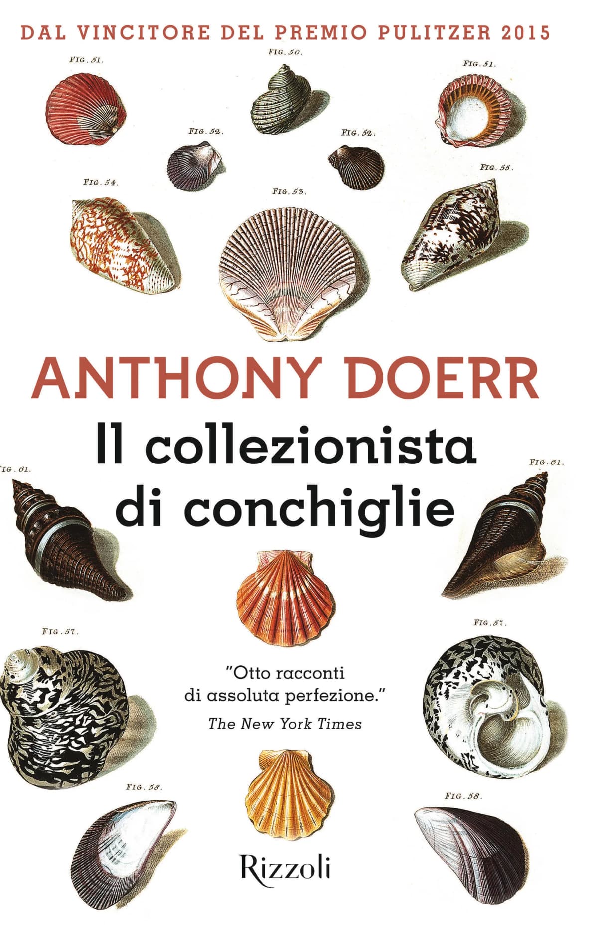 «Il collezionista di conchiglie» di Anthony Doerr