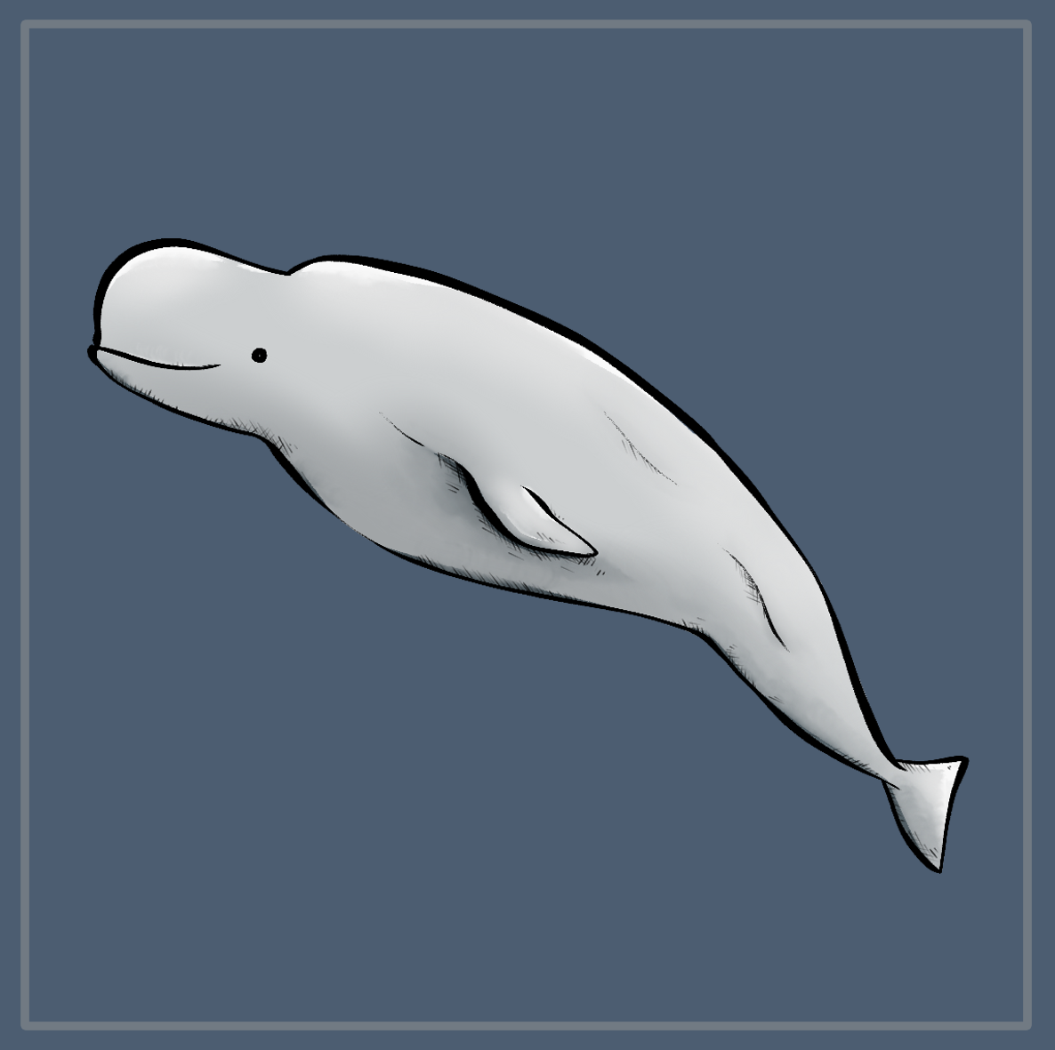 Il Beluga