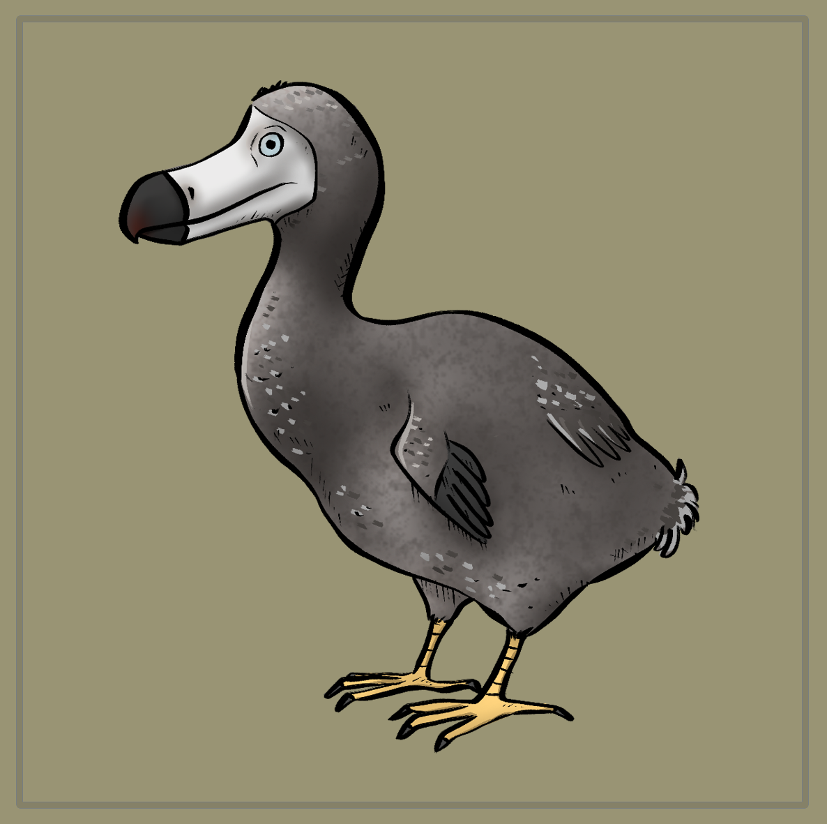 Il Dodo