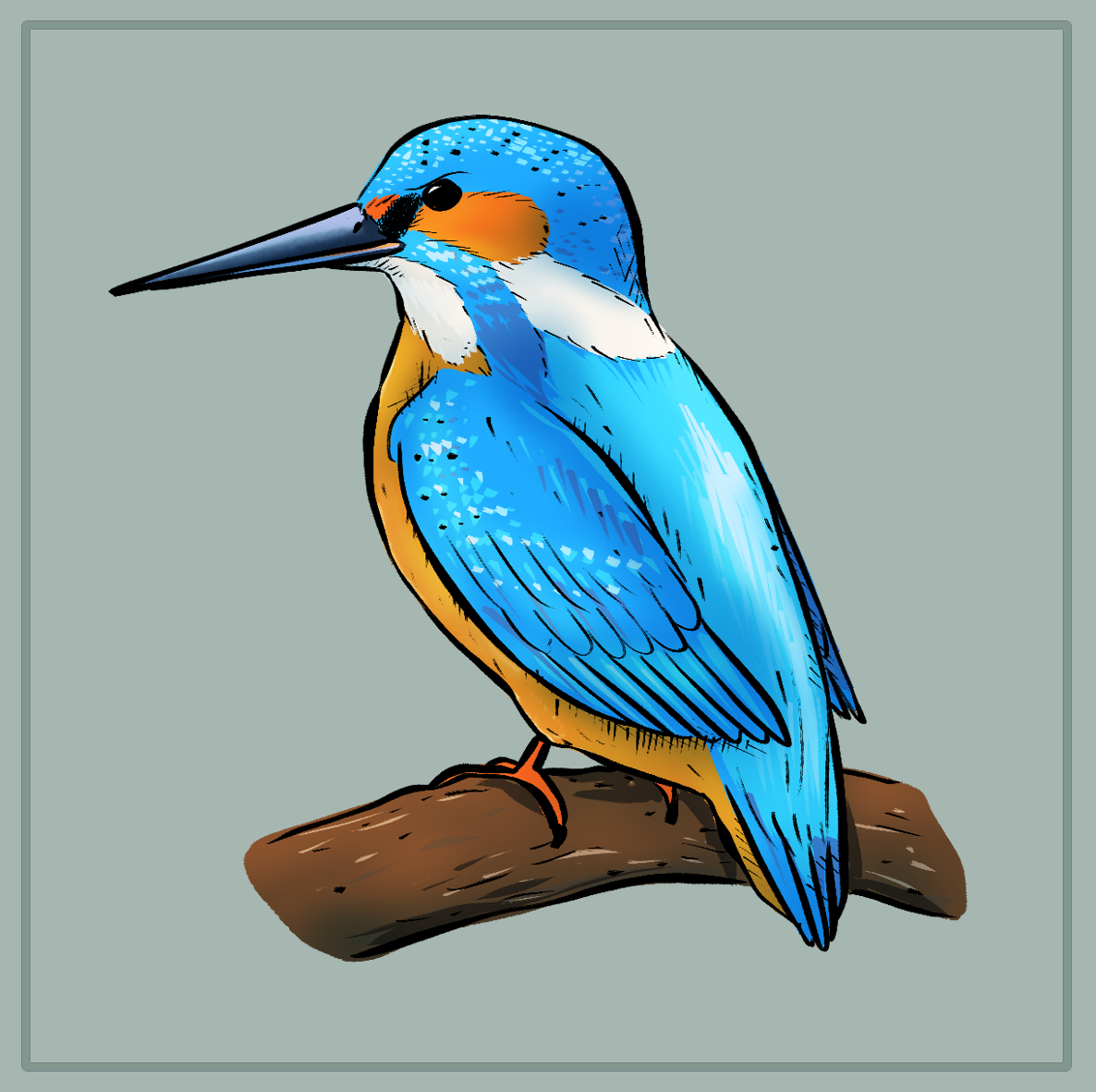 Il Martin Pescatore